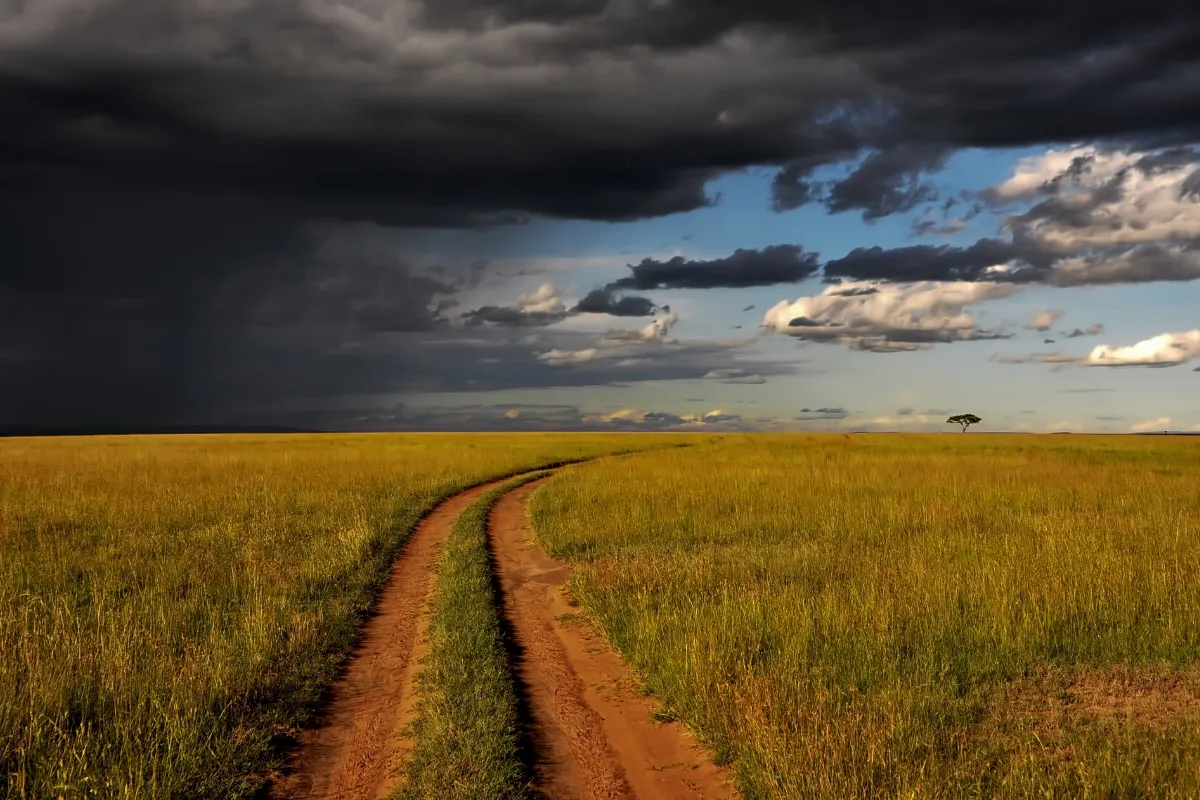 The Unlimited Kenya Experience